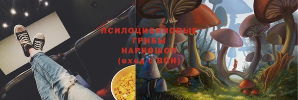 спиды Аркадак