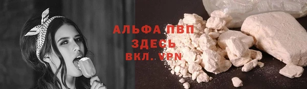 спиды Аркадак