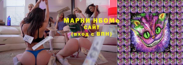спиды Аркадак