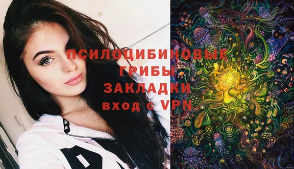 дмт Арсеньев