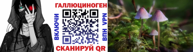 Псилоцибиновые грибы мухоморы  Сальск 