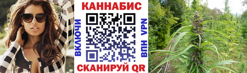 купить наркоту  Сальск  Каннабис гибрид 
